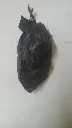 20250603_111637.webp